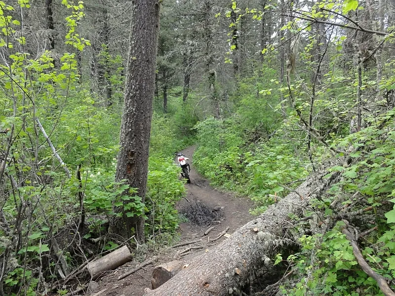 Bridger Mountain Trails