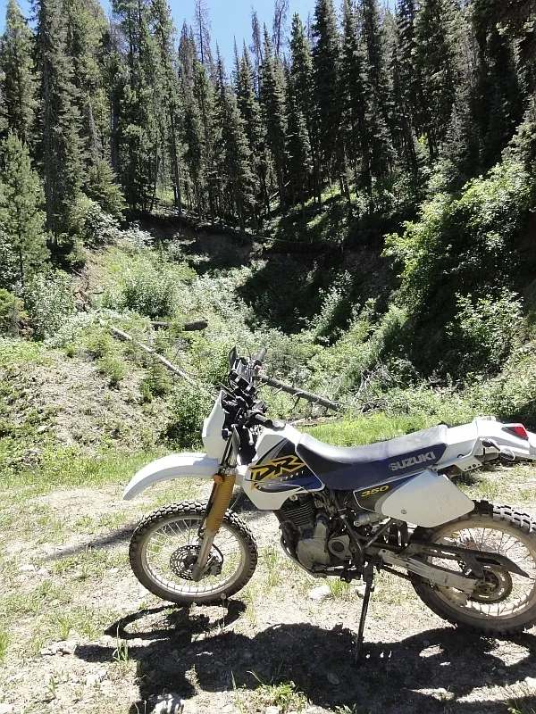 Suzuki DR350