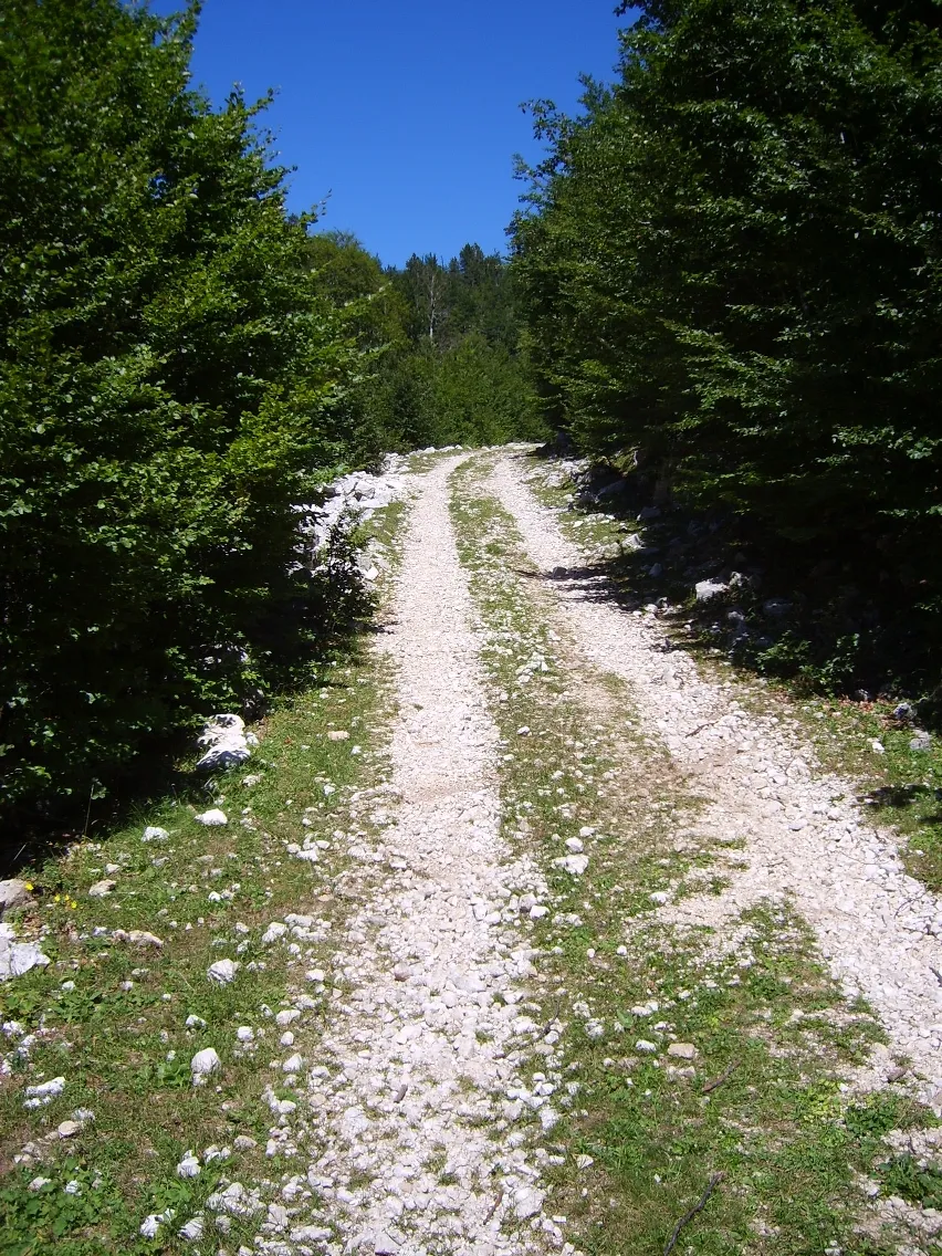 Albania 2008 ride report