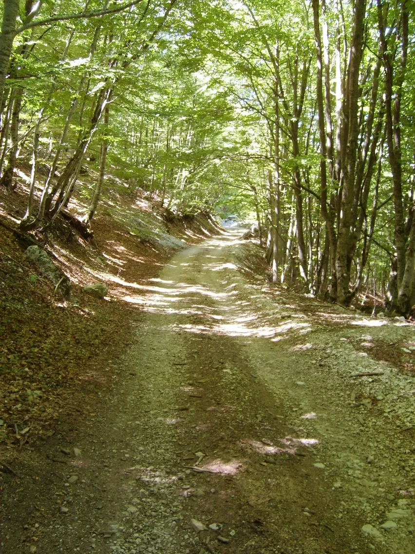 Albania 2008 ride report