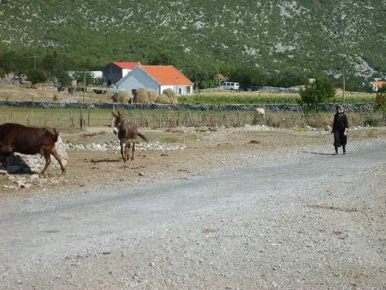 Albania 2008 ride report