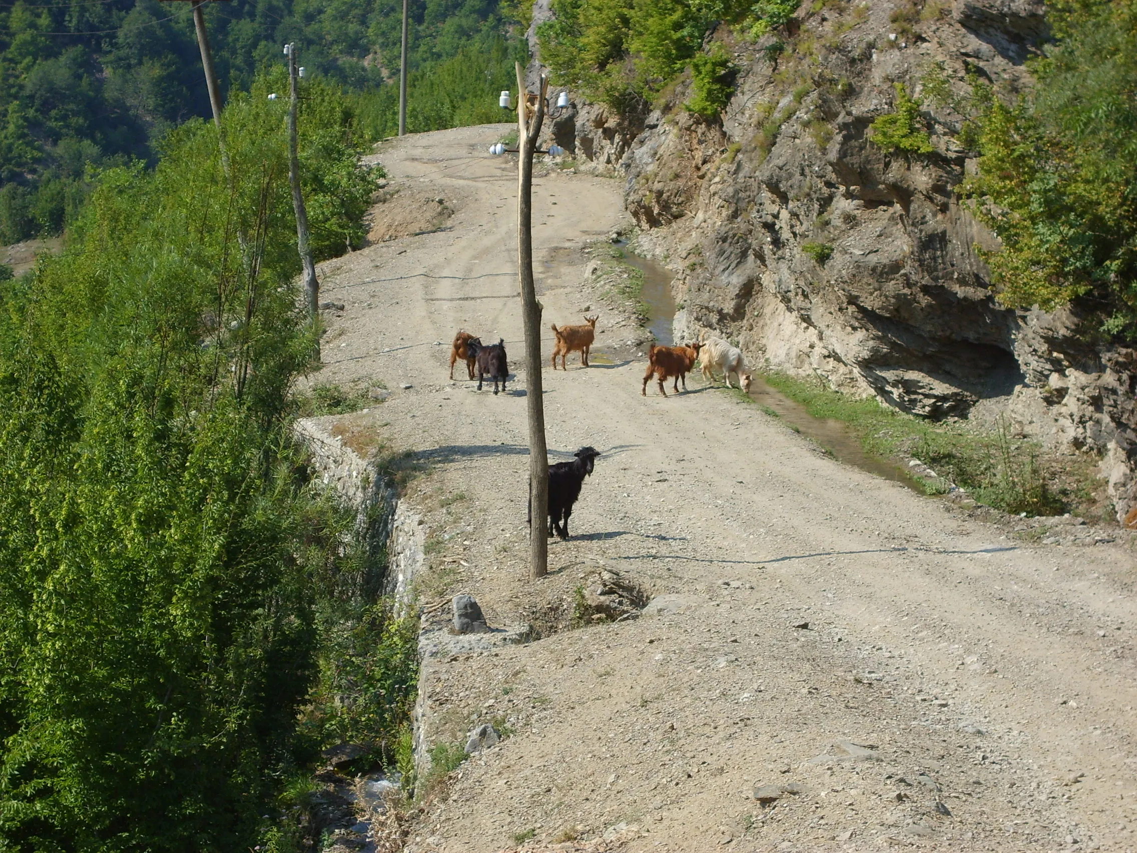 Albania 2008 ride report