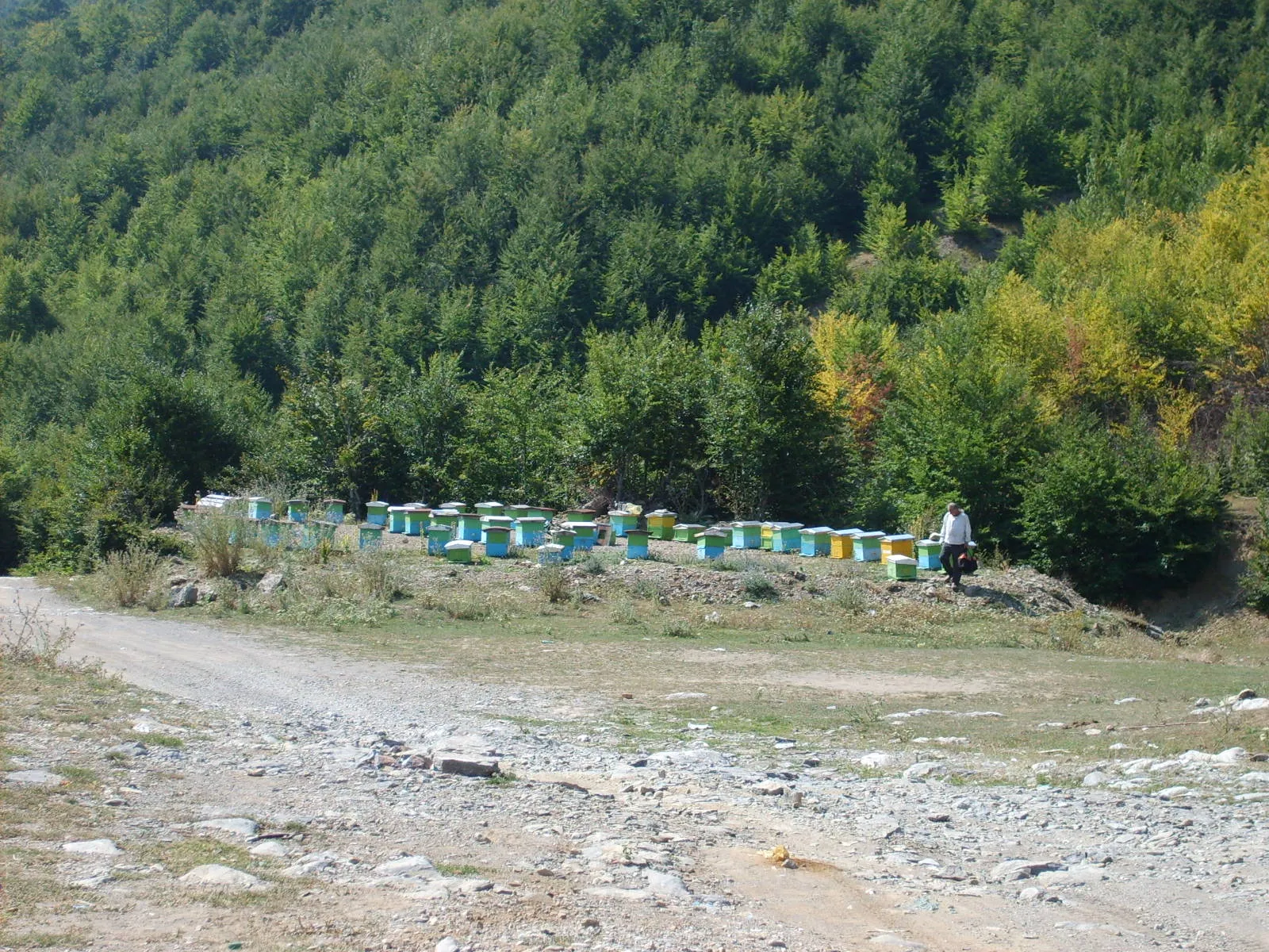 Albania 2008 ride report