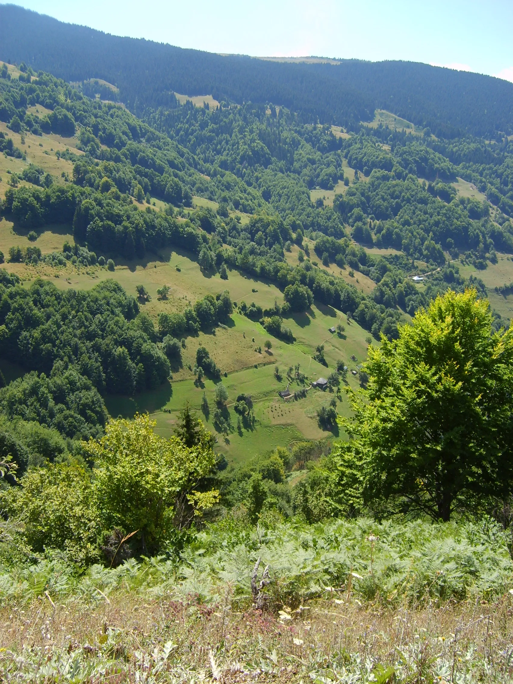 Albania 2008 ride report