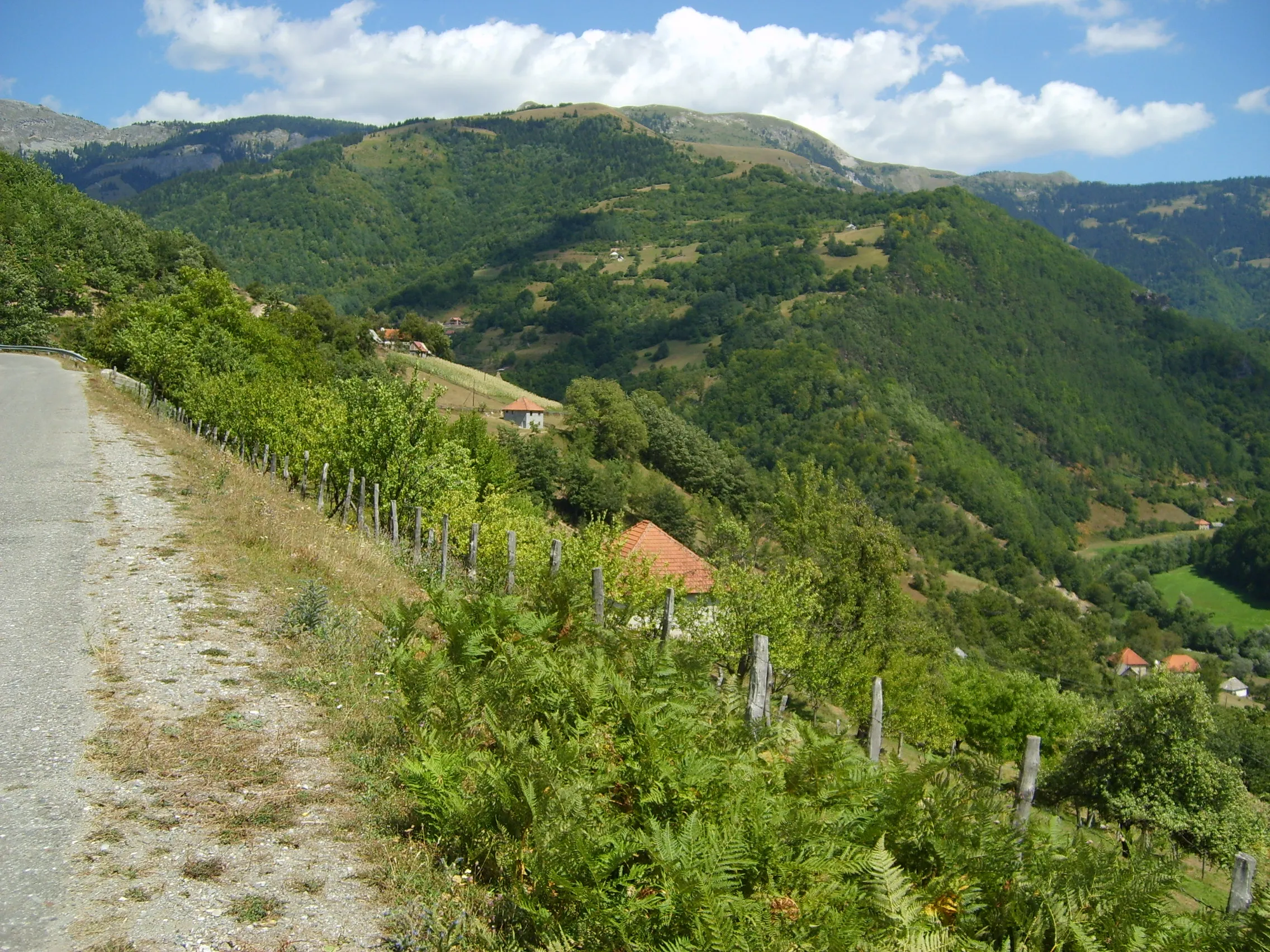 Albania 2008 ride report