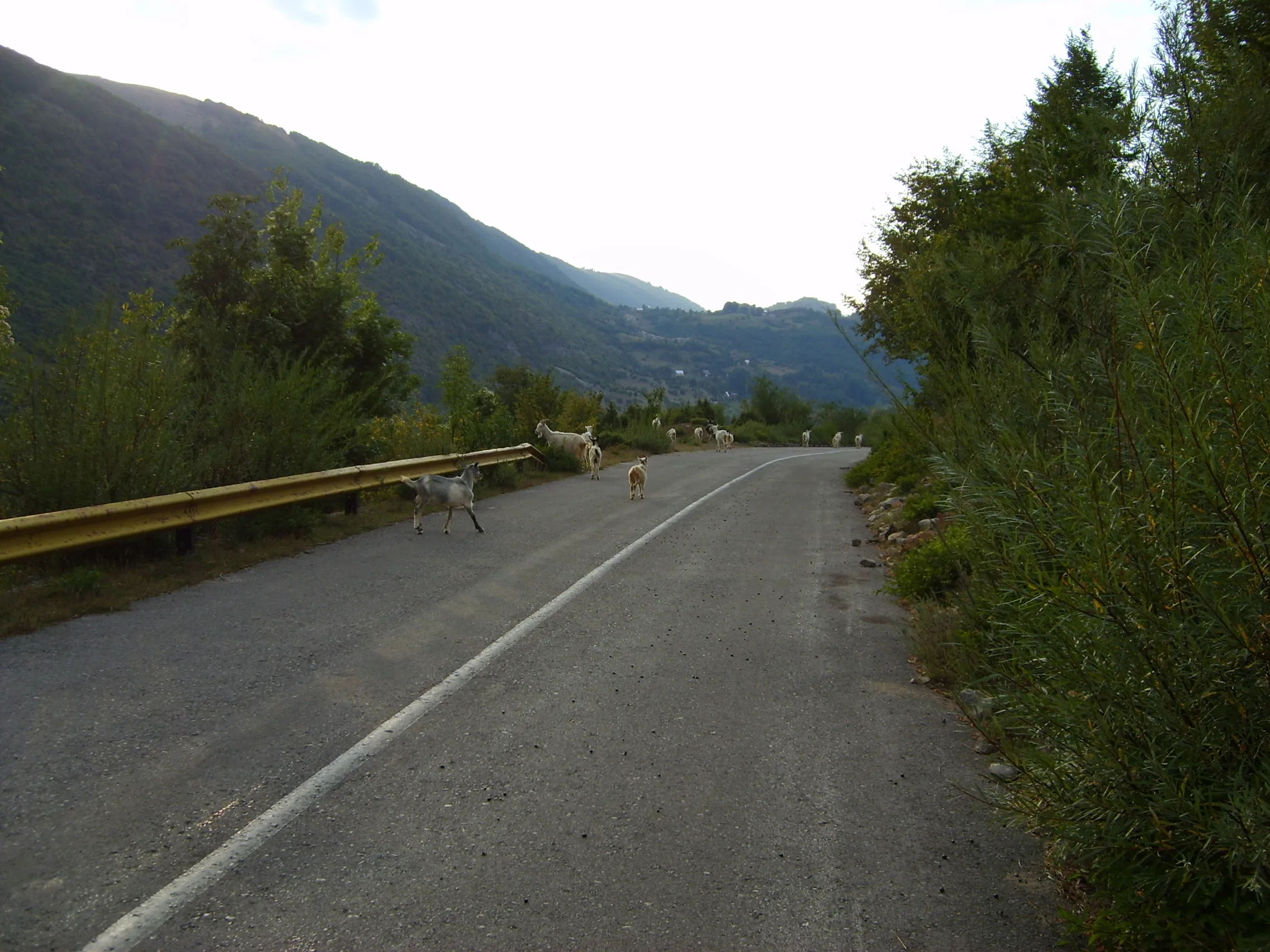 Albania 2008 ride report