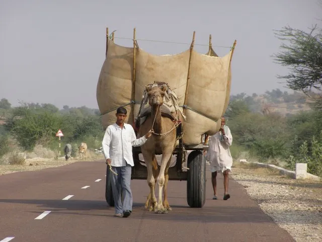 Travel in India